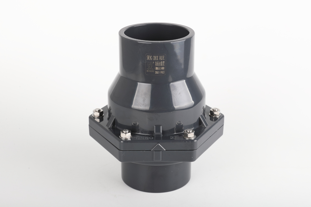 雄关区翻板式止回阀