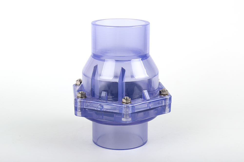 雄关区透明翻板式止回阀